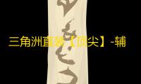 三角洲直装【顶尖】-辅助